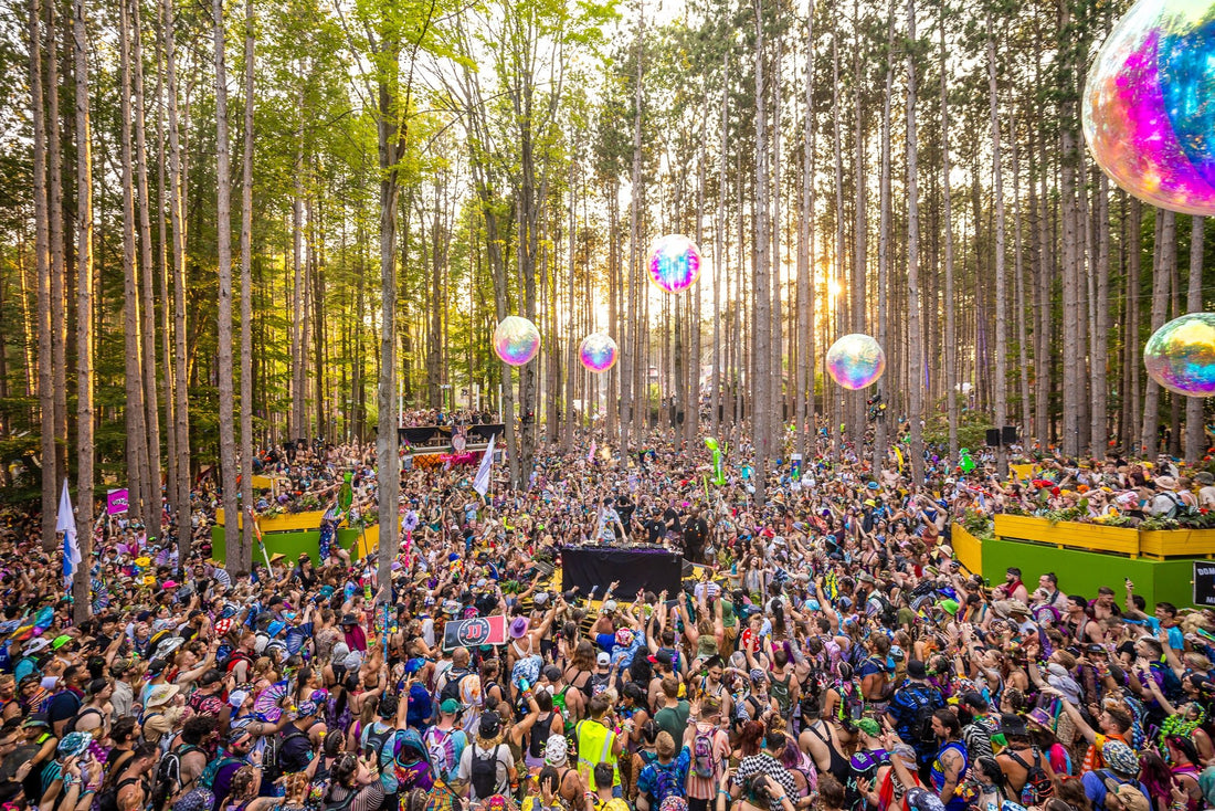 Electric Forest 2024: A Journey Through Music, Art, and Community - Windy City Raves